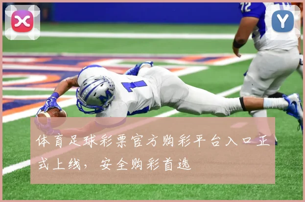 体育足球彩票官方购彩平台入口正式上线，安全购彩首选