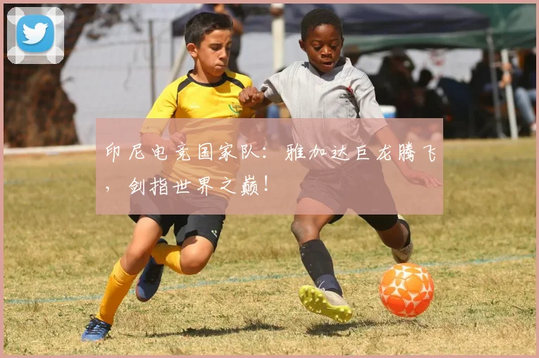 印尼电竞国家队：雅加达巨龙腾飞，剑指世界之巅！